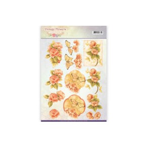 3D Jeanine`s Orange roser